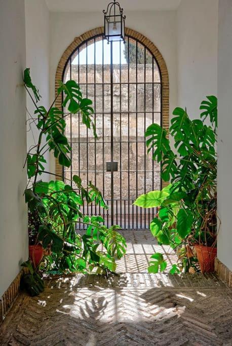 Apartment Alfaro Historic Aparment Seville