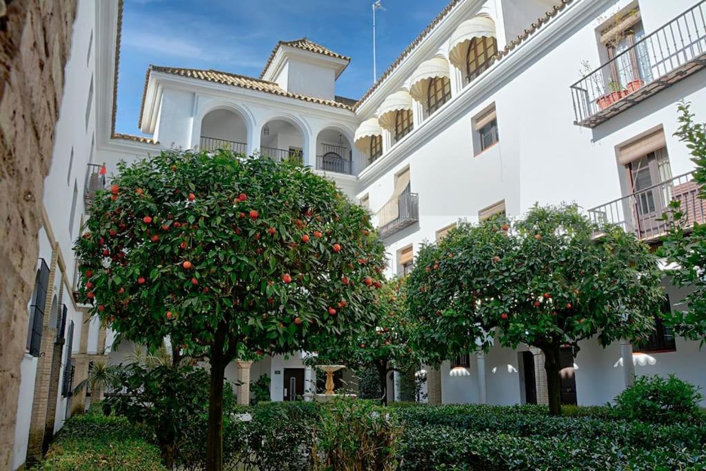 Alfaro Historic Aparment Apartment