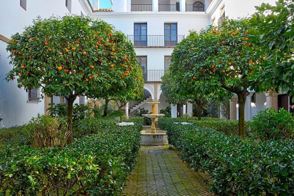 Alfaro Historic Aparment