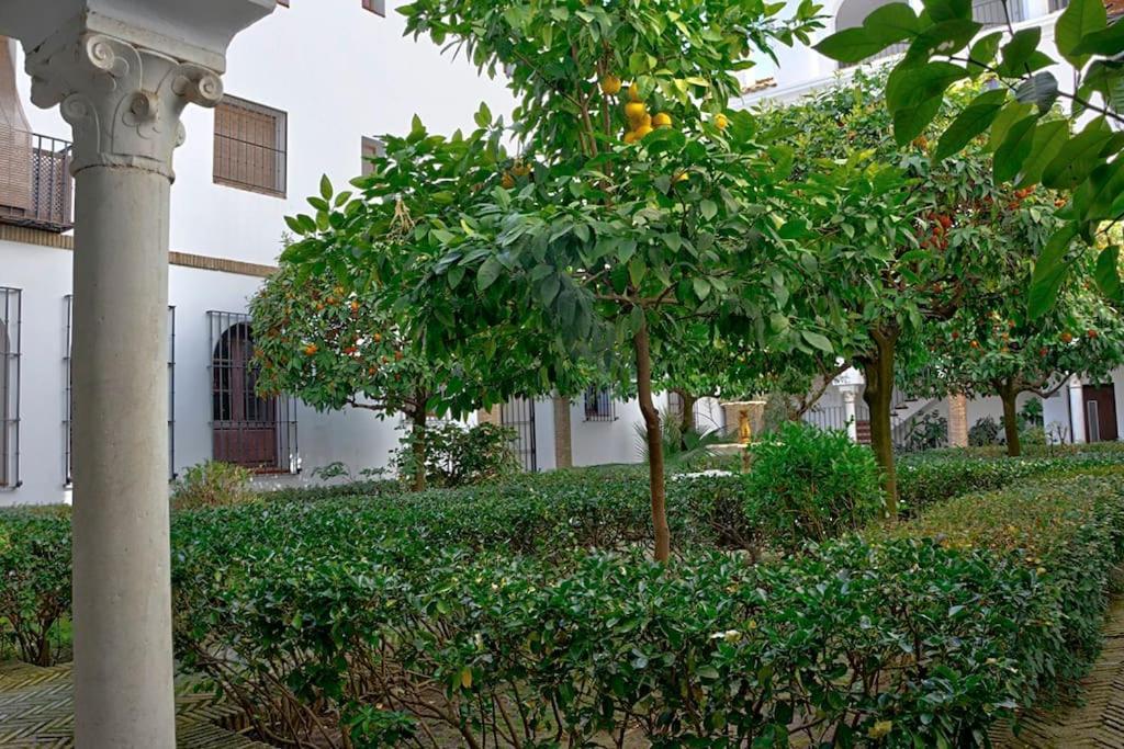 Alfaro Historic Aparment Apartment *