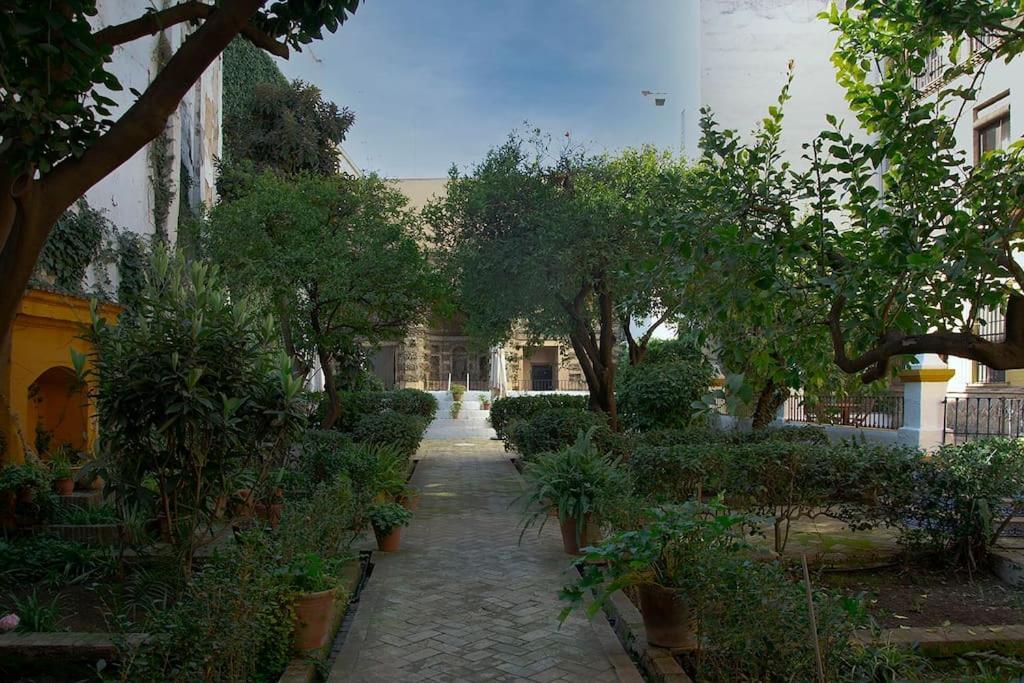 Alfaro Historic Aparment * Sevilla