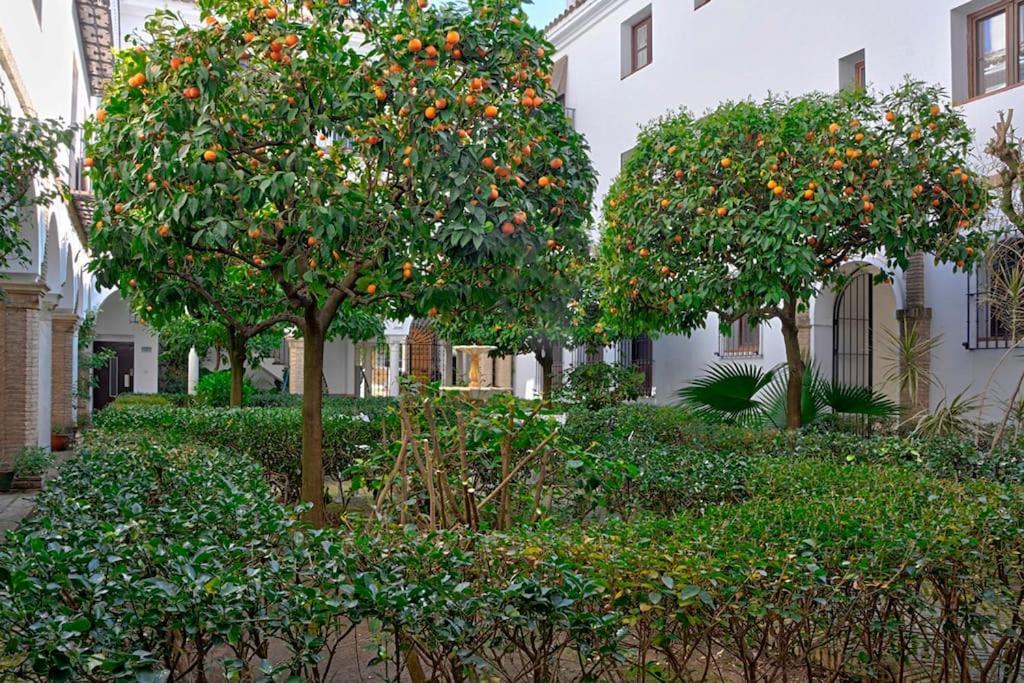 Apartment Alfaro Historic Aparment *